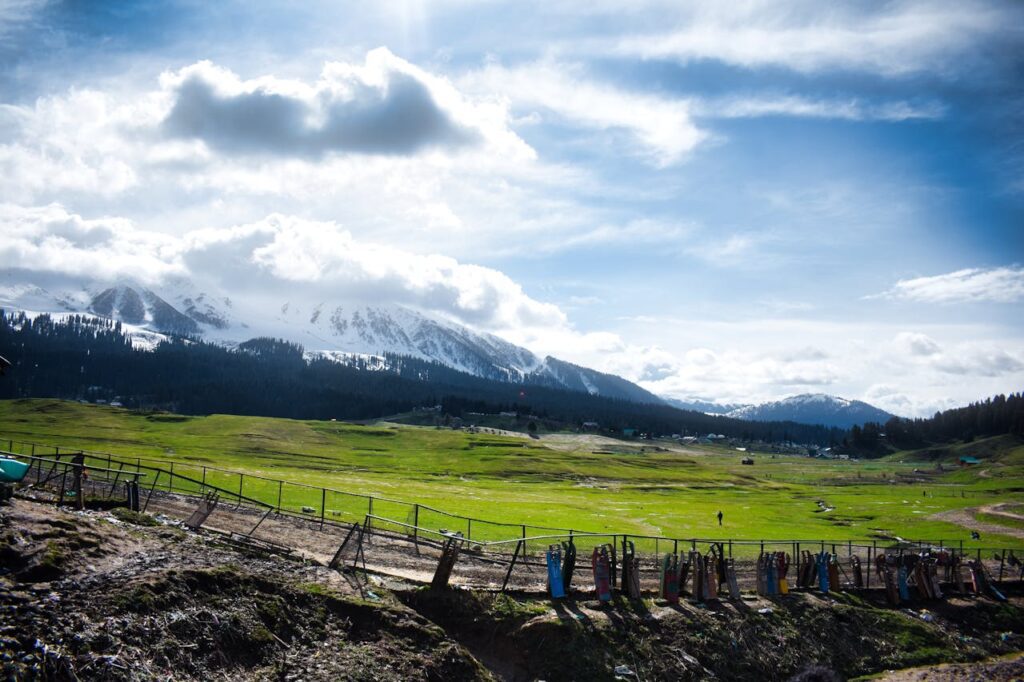Lush green landscape with snowy mountains.